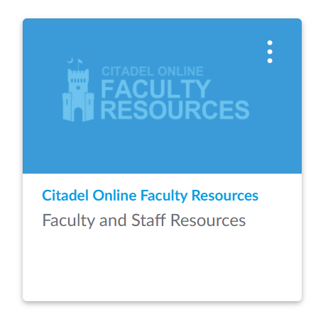 citadel online faculty resources