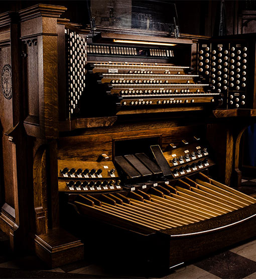 Organ