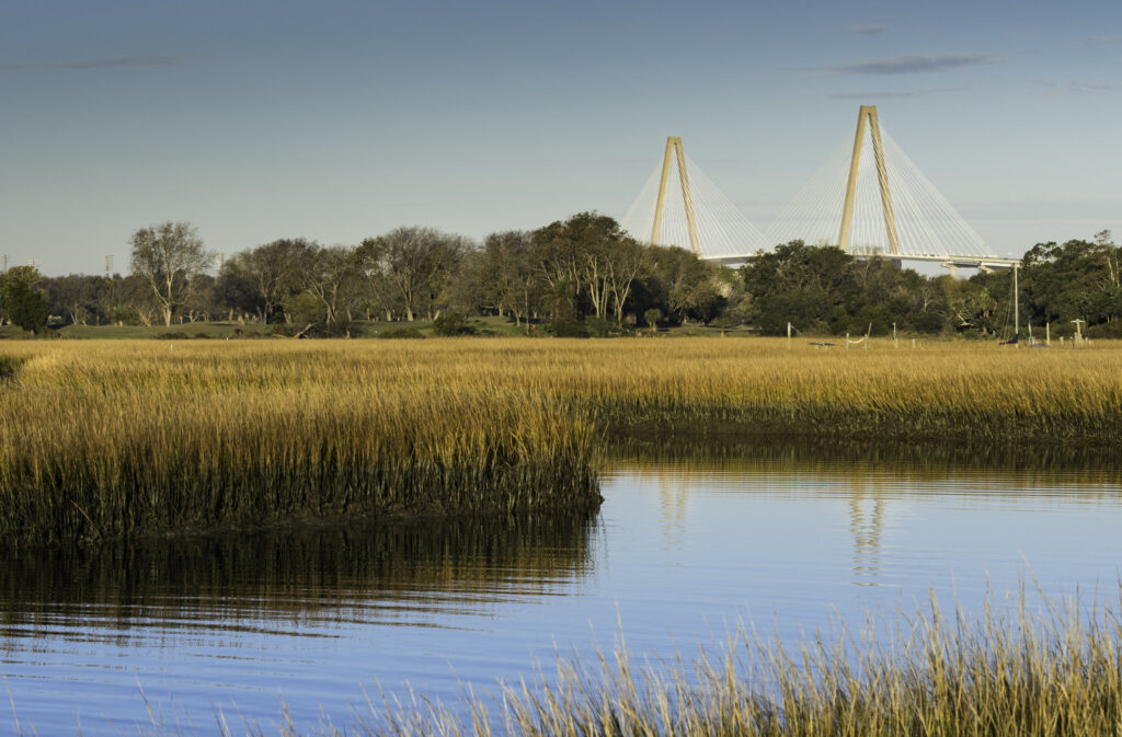 charleston marsh 