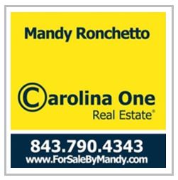 Carolina One Logo