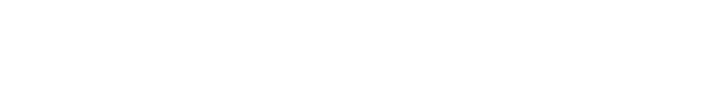 The Citadel Wordmark