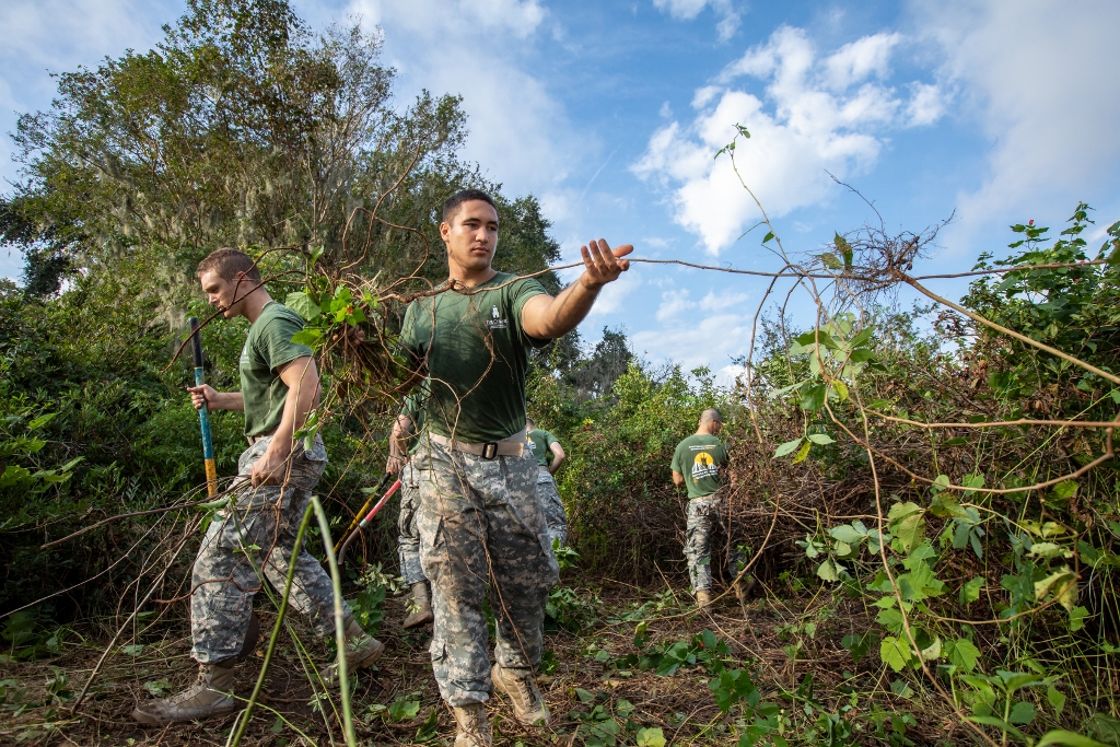Citadel cadets clearing vines and overgrown vegetation during an outdoor service project.