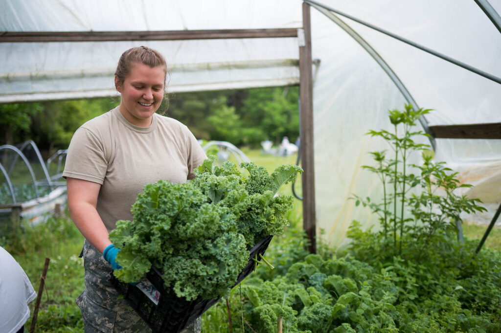 Cadet harvesting a large bundle of kale in a greenhouse garden.