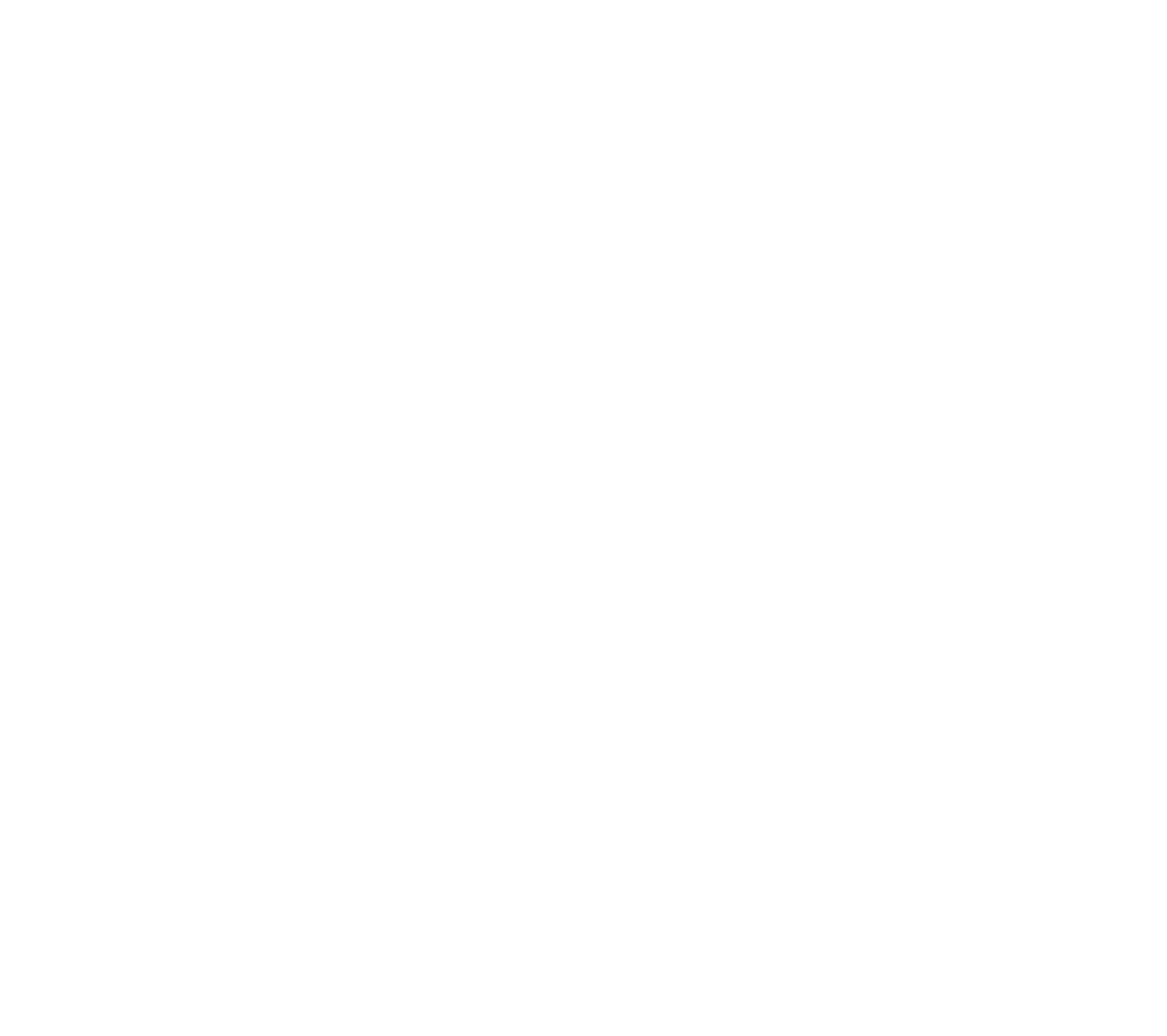 The Citadel Brandmark