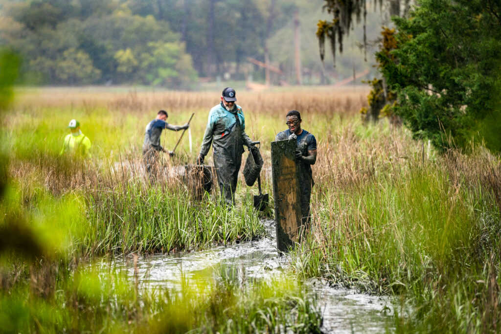 Citadel cadets volunteer in a marsh restoration project