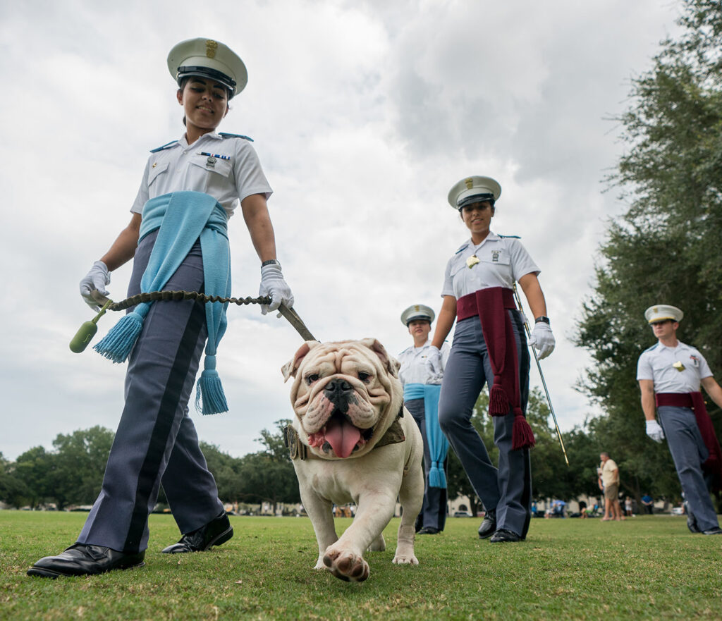 G3 the bulldog mascot